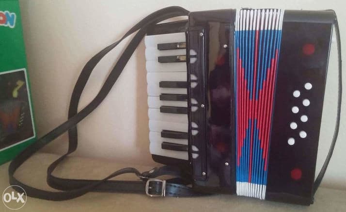 DJECIJA HARMONIKA ZA DJECU 24x25x12cm - 066-49-49-41