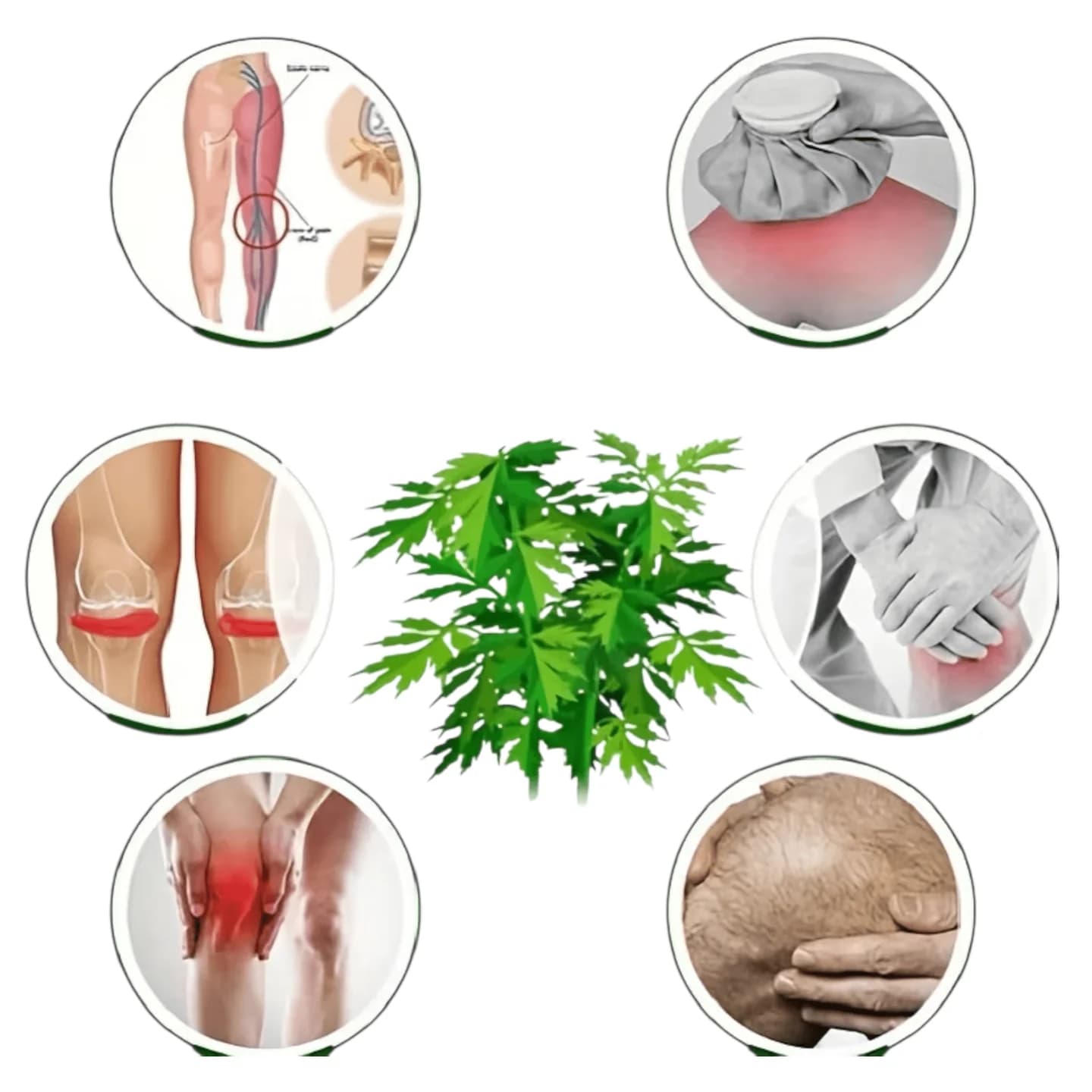 Samozagrijavajući steznici za koljena sa pelinom 4